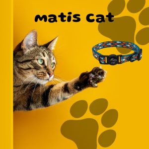 Cat collar print