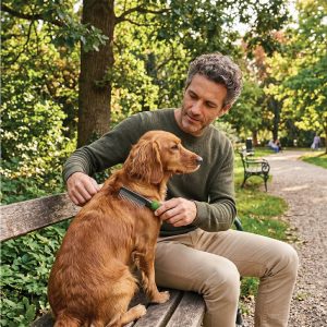 Češalj za psa i mačku