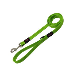 Dog Leash City Style