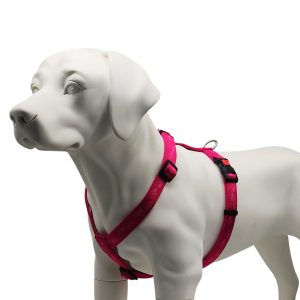 Orma za psa Doggy Paws Neopren