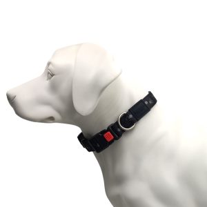 Click S dog collar Doggy Paws Neoprene